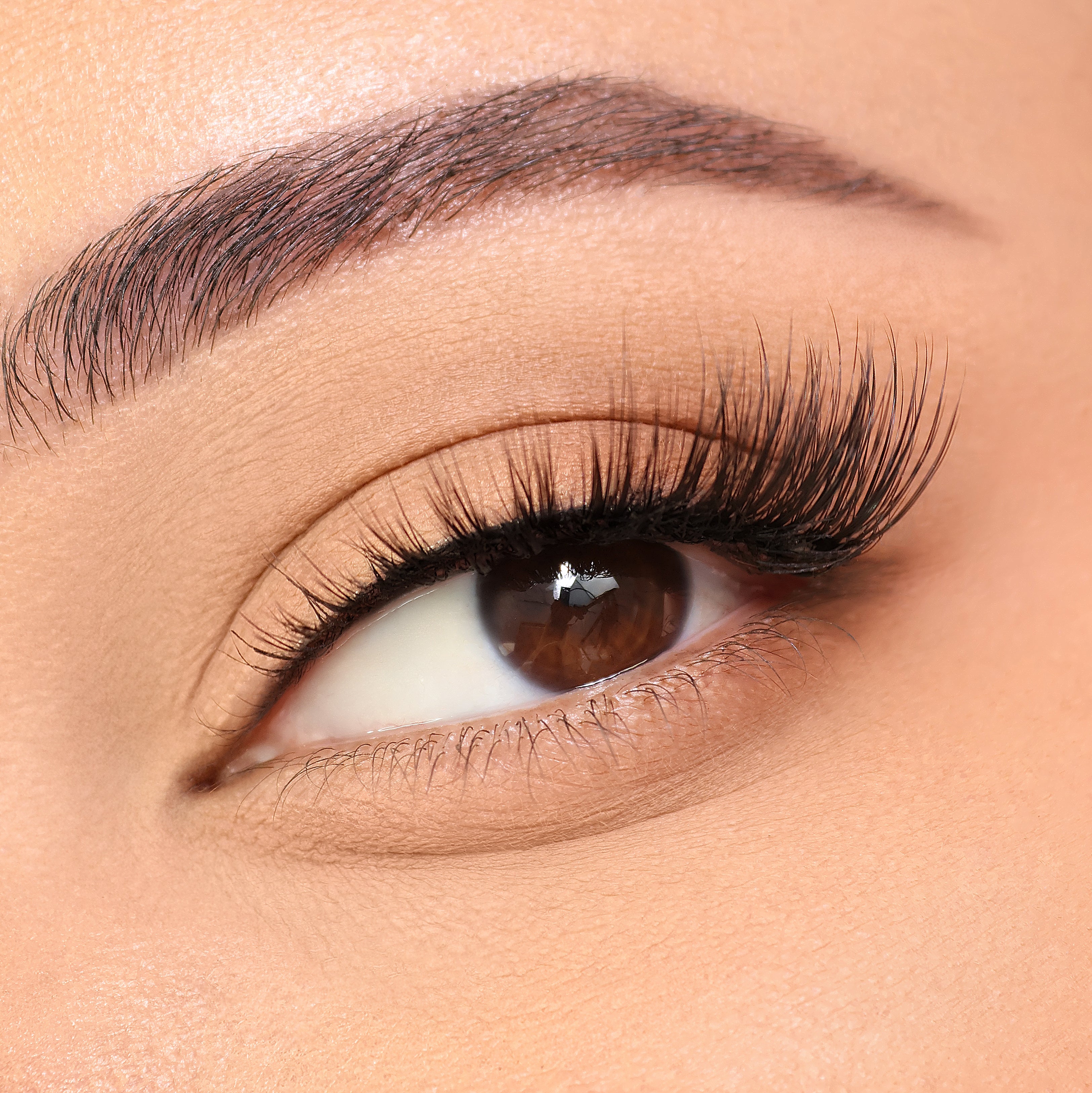 Stealth Wealth Half Lashes