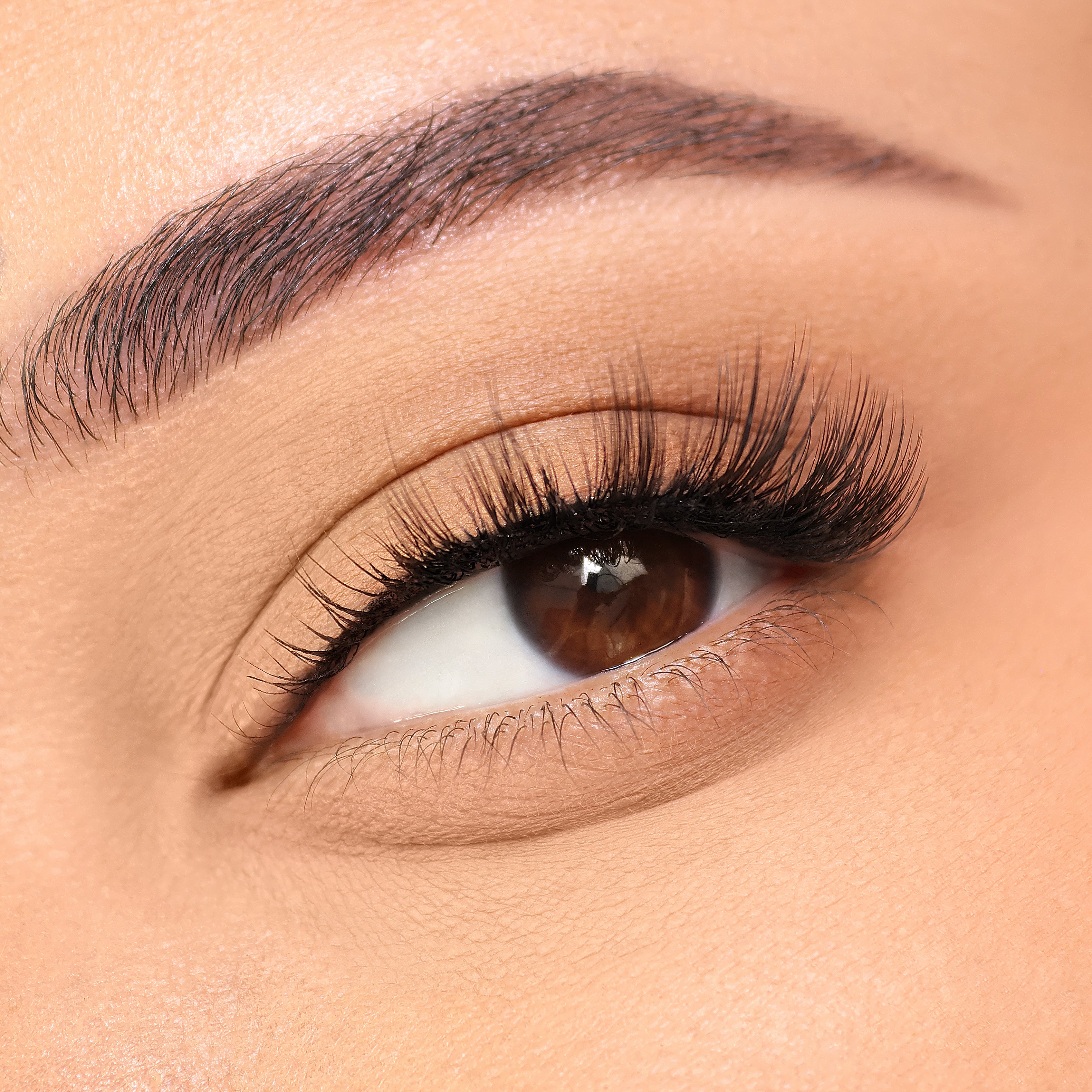 Whimsigoth Half Lashes