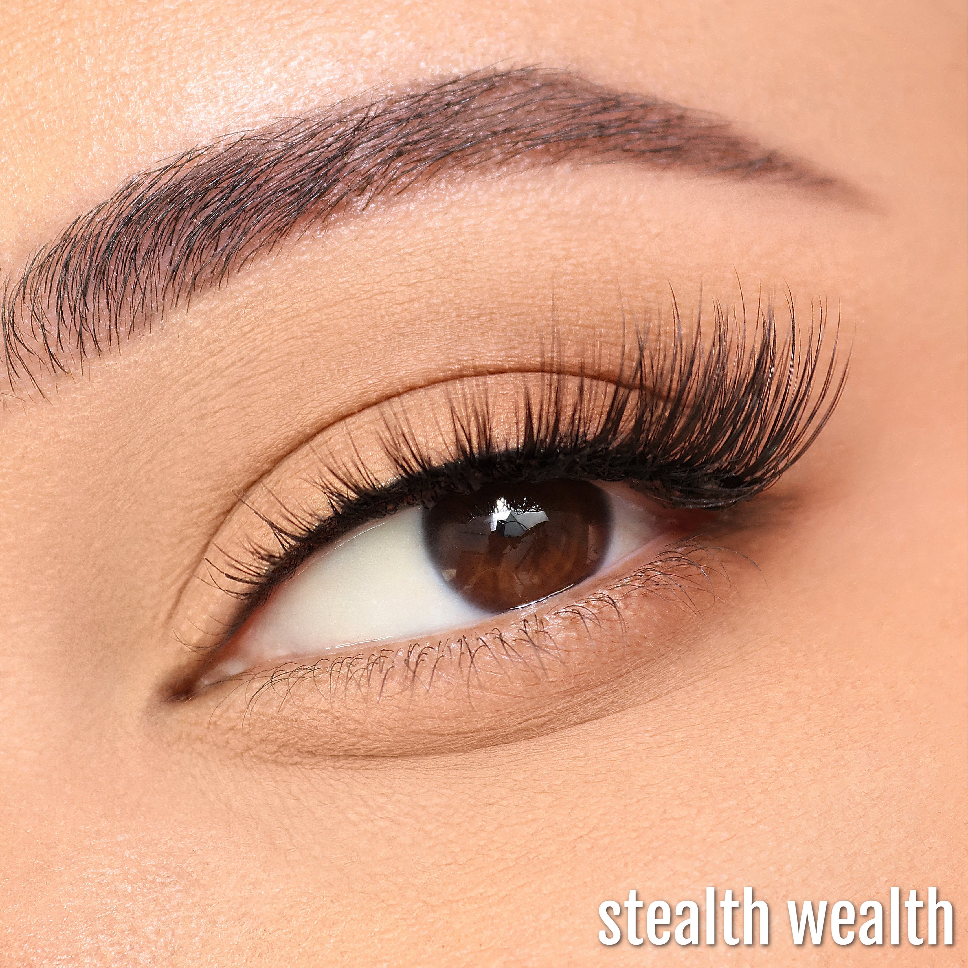 Singe Beauty Half Lash Collection Box