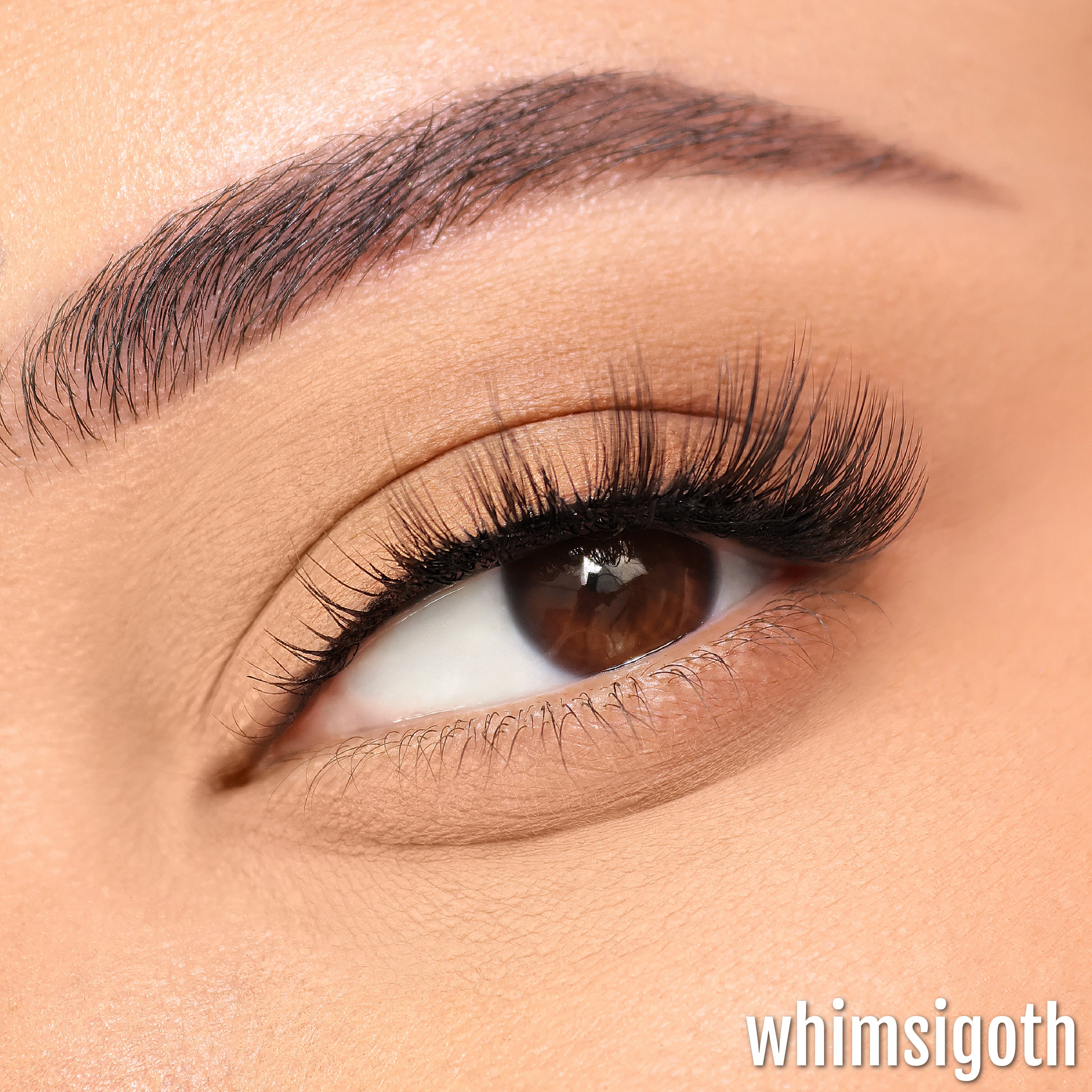 Singe Beauty Half Lash Collection Box